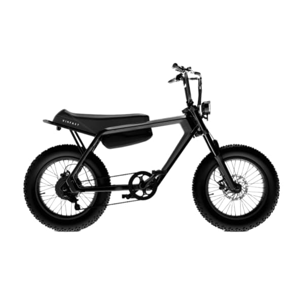 Xe đạp điện VF DrgnFly