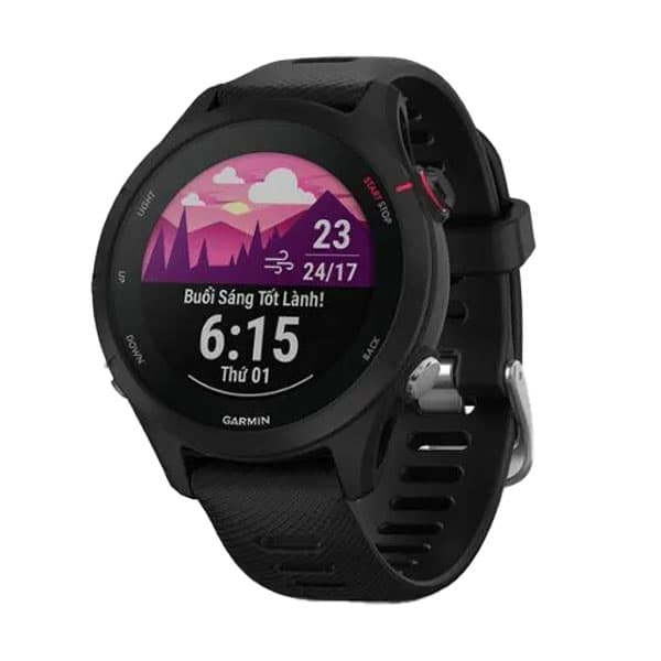 Đồng hồ thông minh Garmin Forerunner 255S Music - ảnh 1