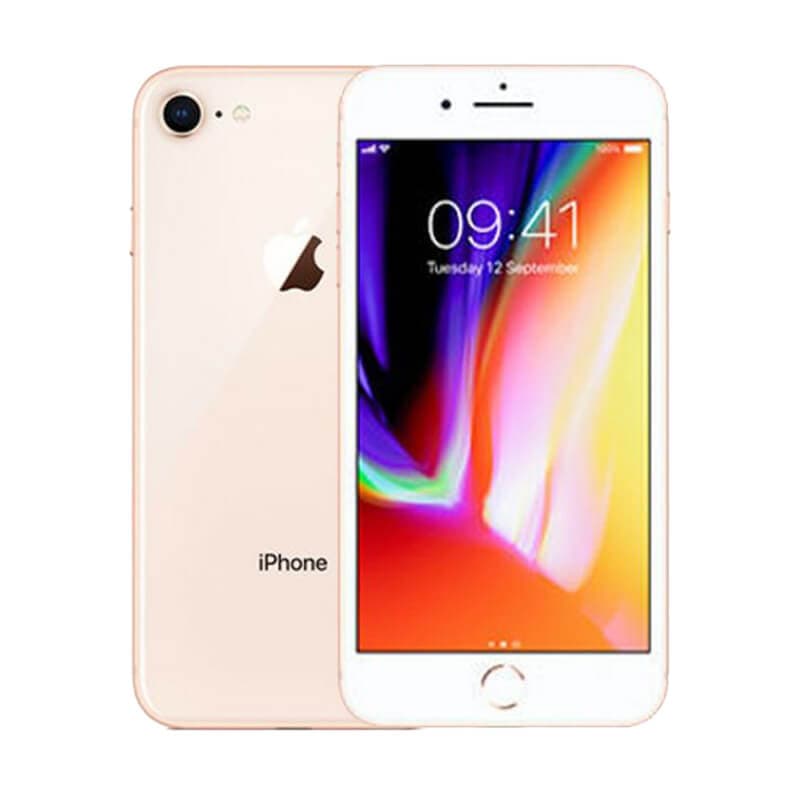 SẢN PHẨM KHÔNG ONWEB - ảnh 103