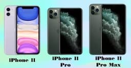 Kích thước iPhone 11 (thường, Pro, Pro Max) bao nhiêu inch? Có điểm tương đồng gì?